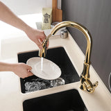 Gold and Silver Pull Out Kitchen Faucet
