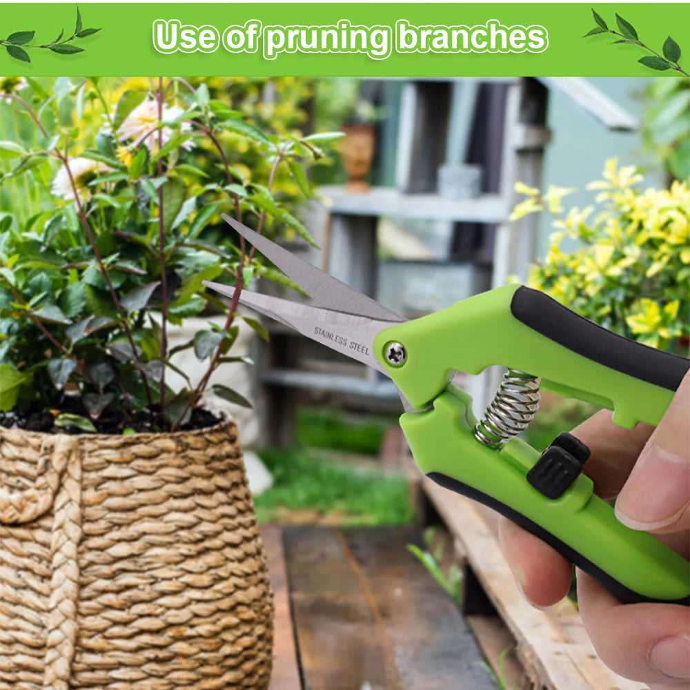 Tijeras de podar para herramientas de jardín: tijeras de podar y bonsái de primera calidad