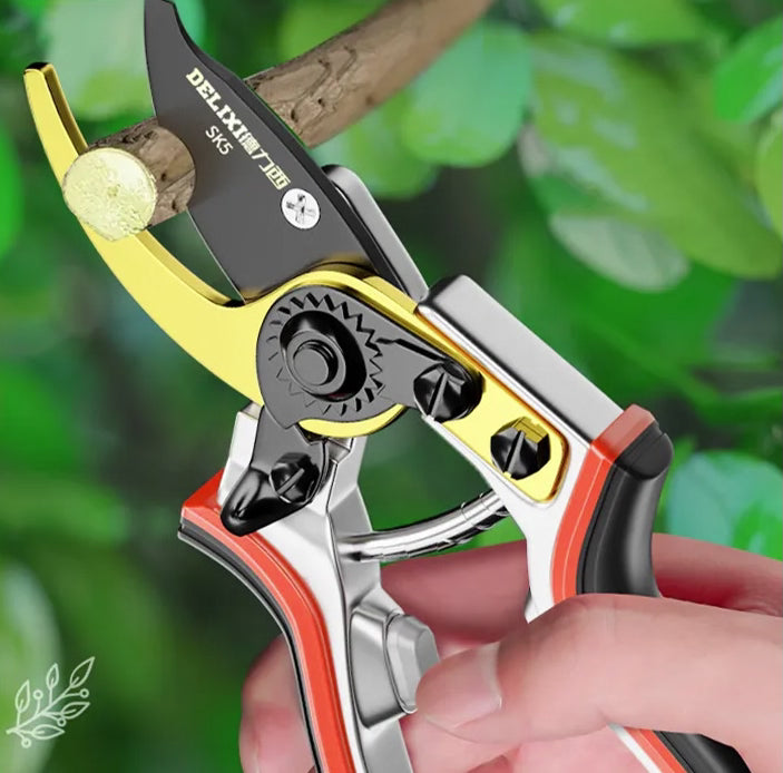 Delixi Pruning Scissors: The Ultimate Garden Tool Set