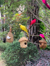 Vibrant Simulation Parrot Garden Ornament